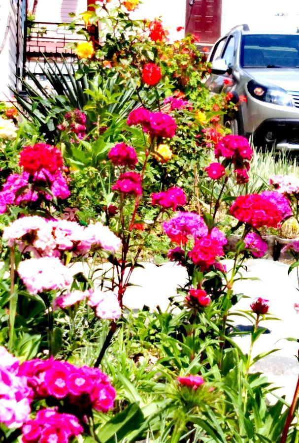 At the seaside Pizunda Exterior photo